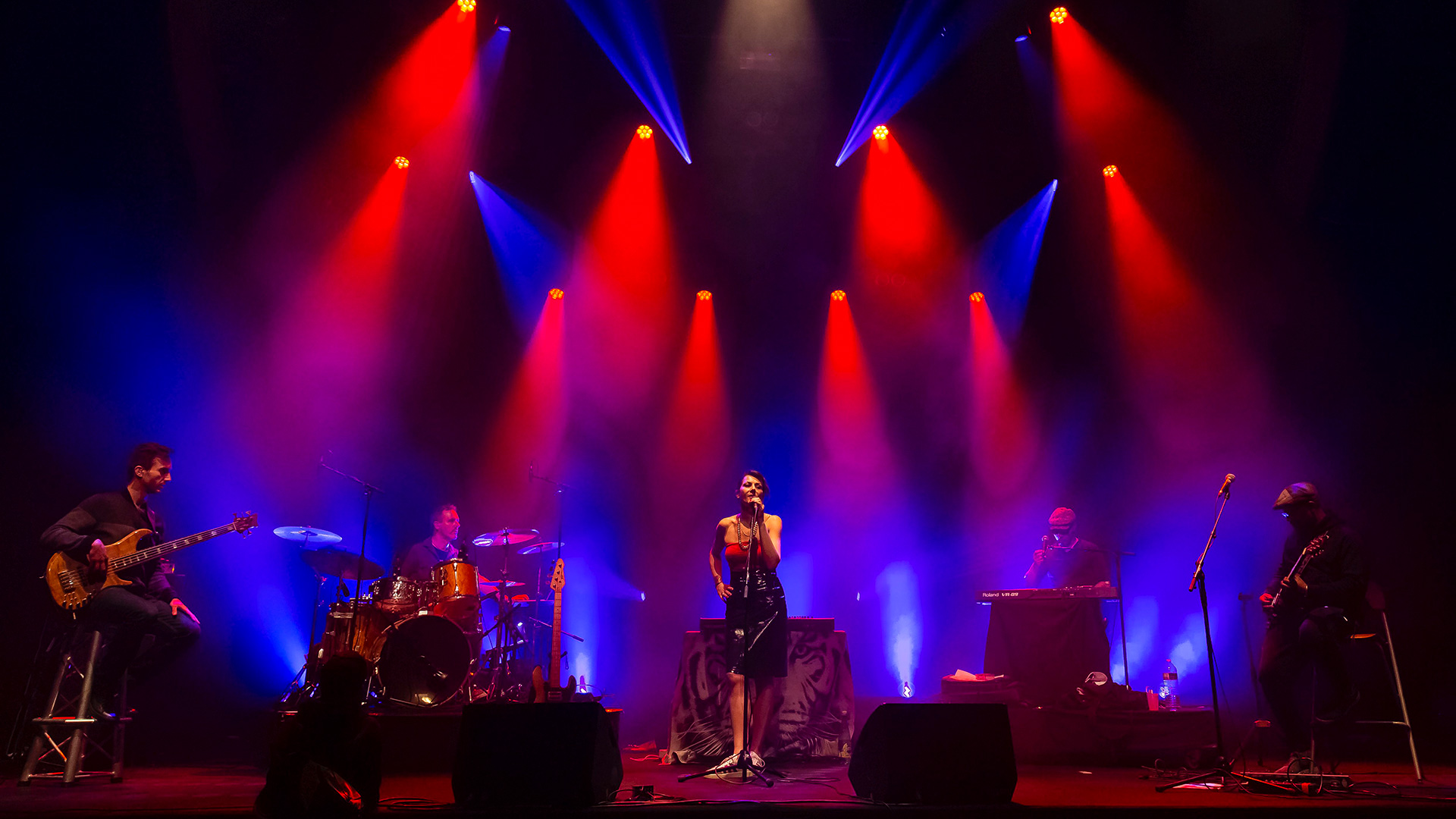 Dajla : le retour aux sources